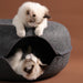 Scratch Detachable Round Felt Tunnel with Washable Interior for Cat House and Play_3