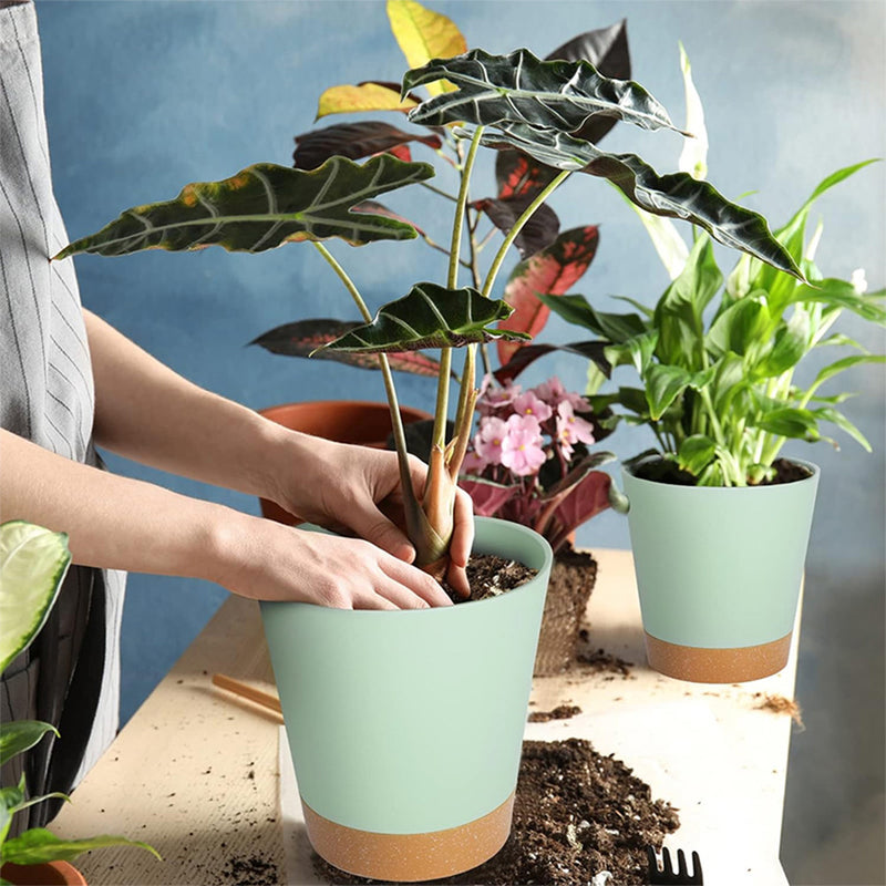 GREENHAVEN Self Watering Planters with Drainage Hole - Set of 5