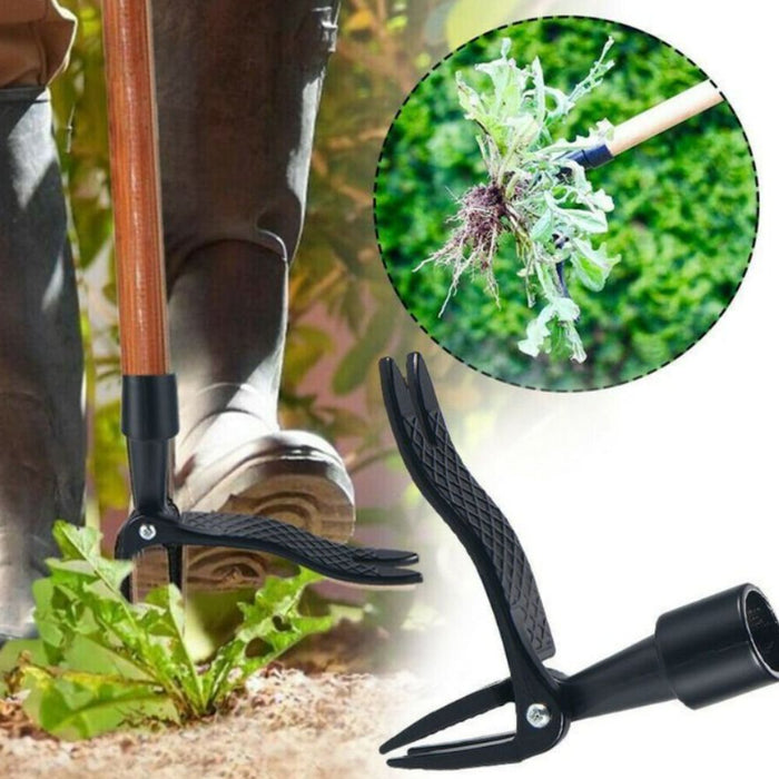 Stand Up Weed Puller Tool 4 Claws Manual Weeder Root Remover