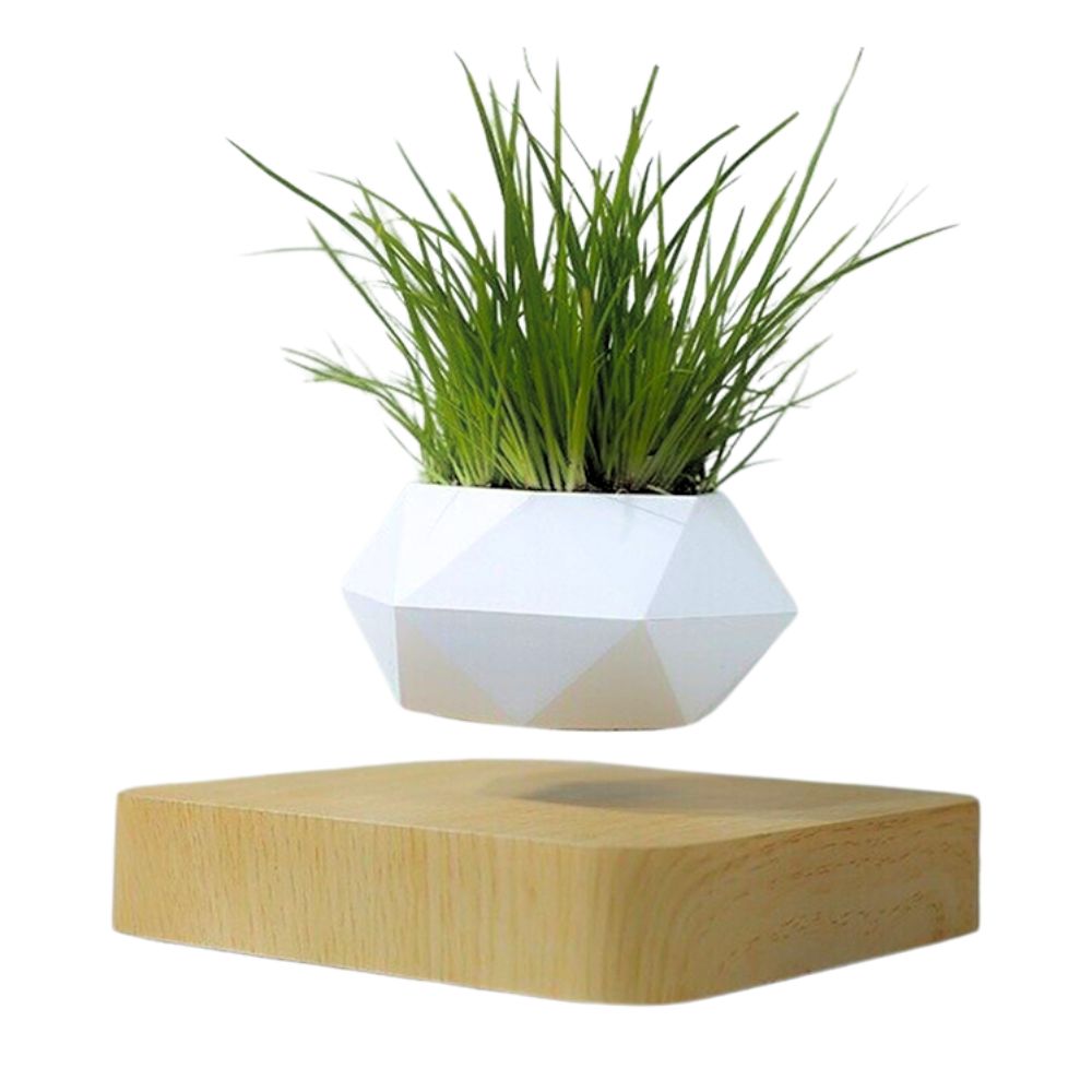 EzyHome Collection