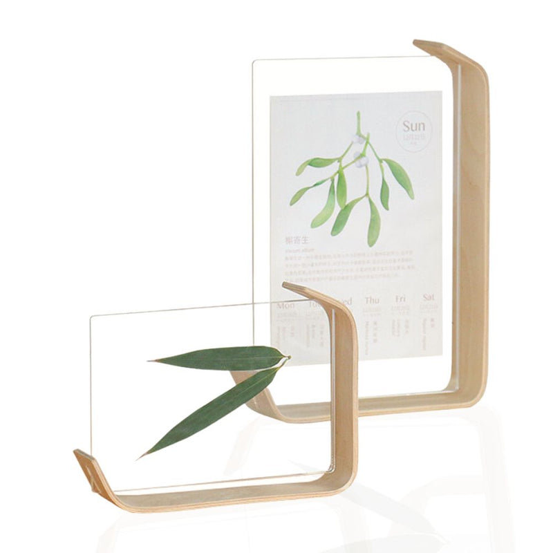 Minimalist 6-Inch Creative Acrylic Photo Frame for Stylish Home Decor