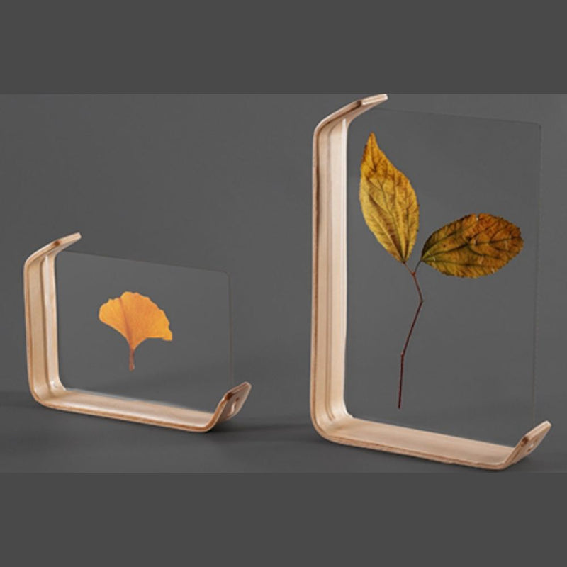 Minimalist 6-Inch Creative Acrylic Photo Frame for Stylish Home Decor