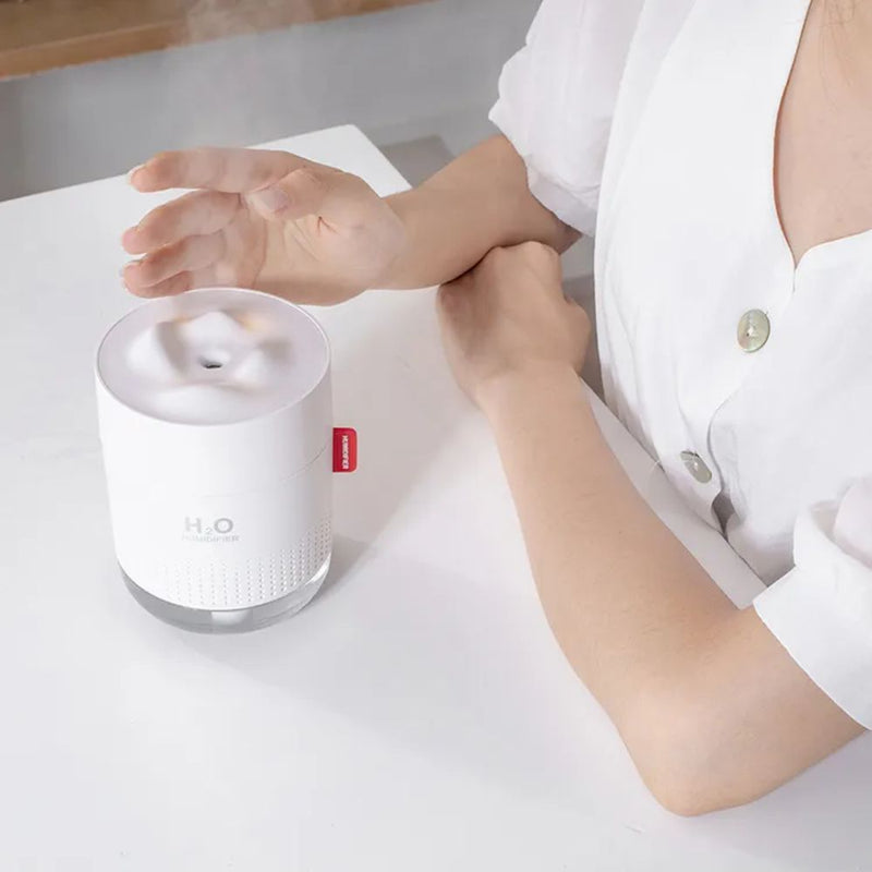 500ml Mini Cool Mist Humidifier with Auto Shut-Off 2 Mist Modes - USB Plugged-in