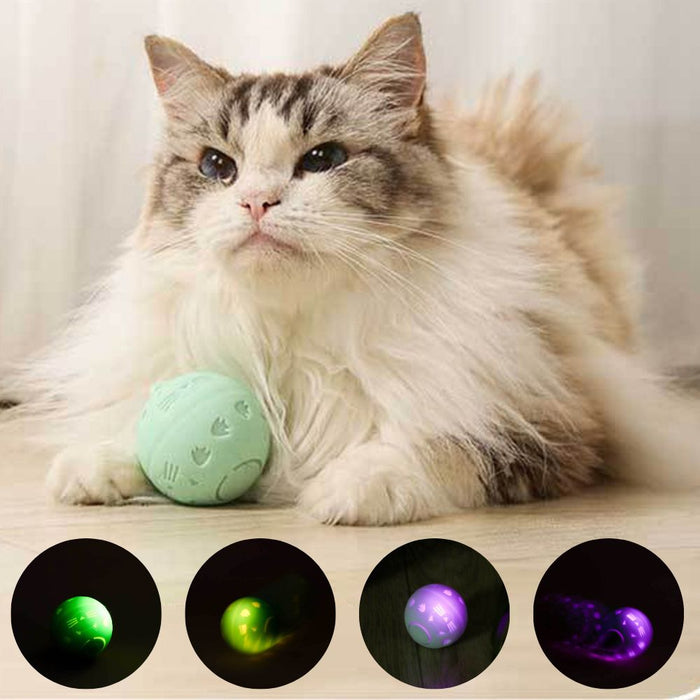 USB Rechargeable Rolling Bouncing  Interactive Ball Pet Toy