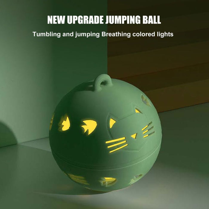 USB Rechargeable Rolling Bouncing  Interactive Ball Pet Toy