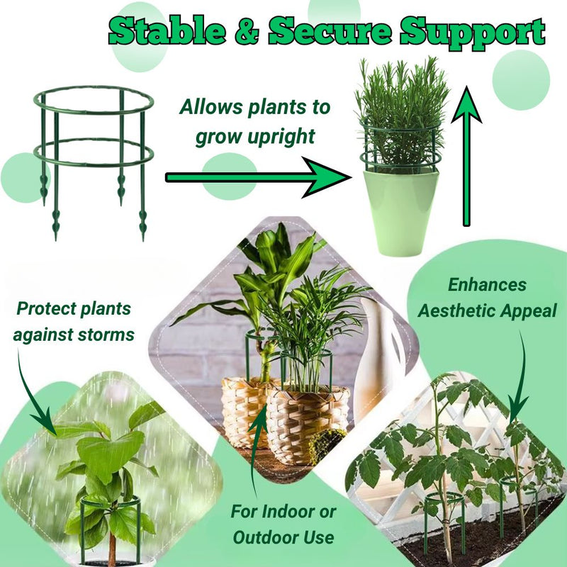 T-Shaped Semi Circular Plant Support Bracket