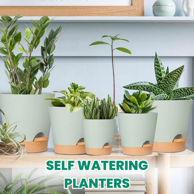 Set of 5 Self Watering Planters with Drainage Holes