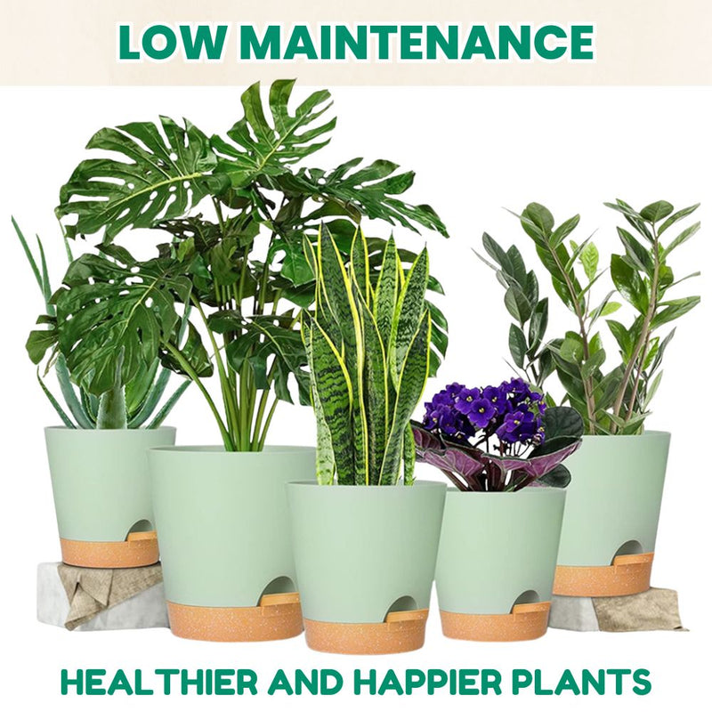Set of 5 Self Watering Planters with Drainage Holes