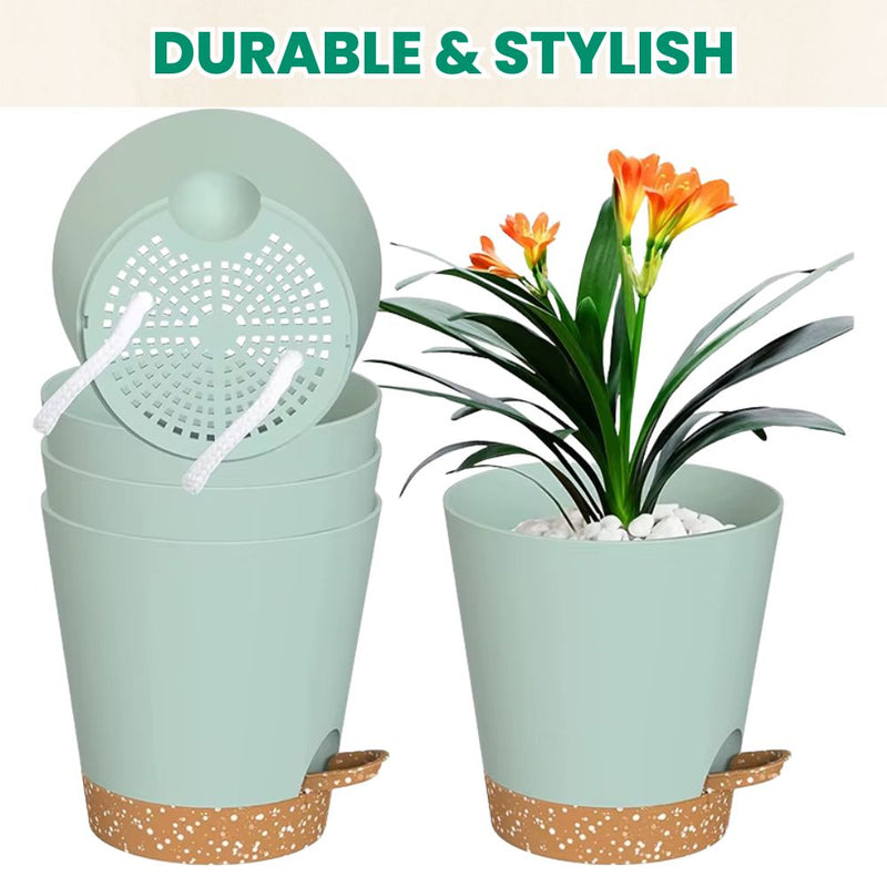 Set of 5 Self Watering Planters with Drainage Holes