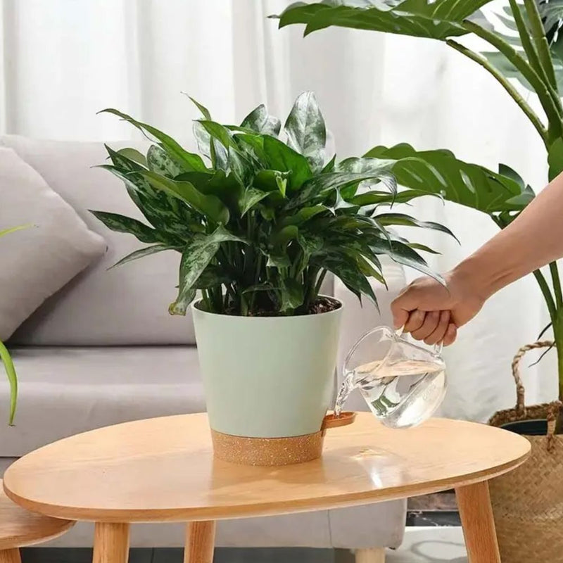 Set of 5 Self Watering Planters with Drainage Holes