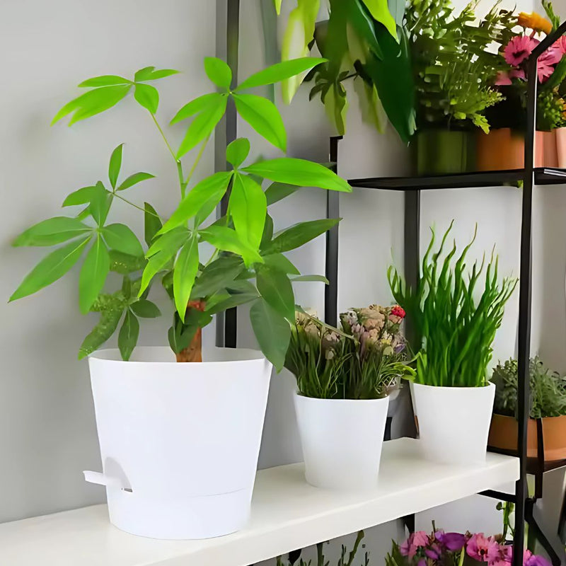 Set of 5 Self Watering Planters with Drainage Holes