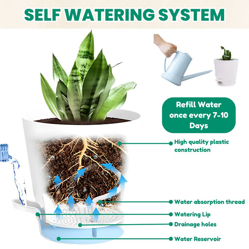 Set of 5 Self Watering Planters with Drainage Holes