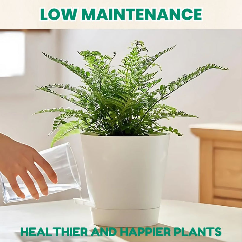 Set of 5 Self Watering Planters with Drainage Holes