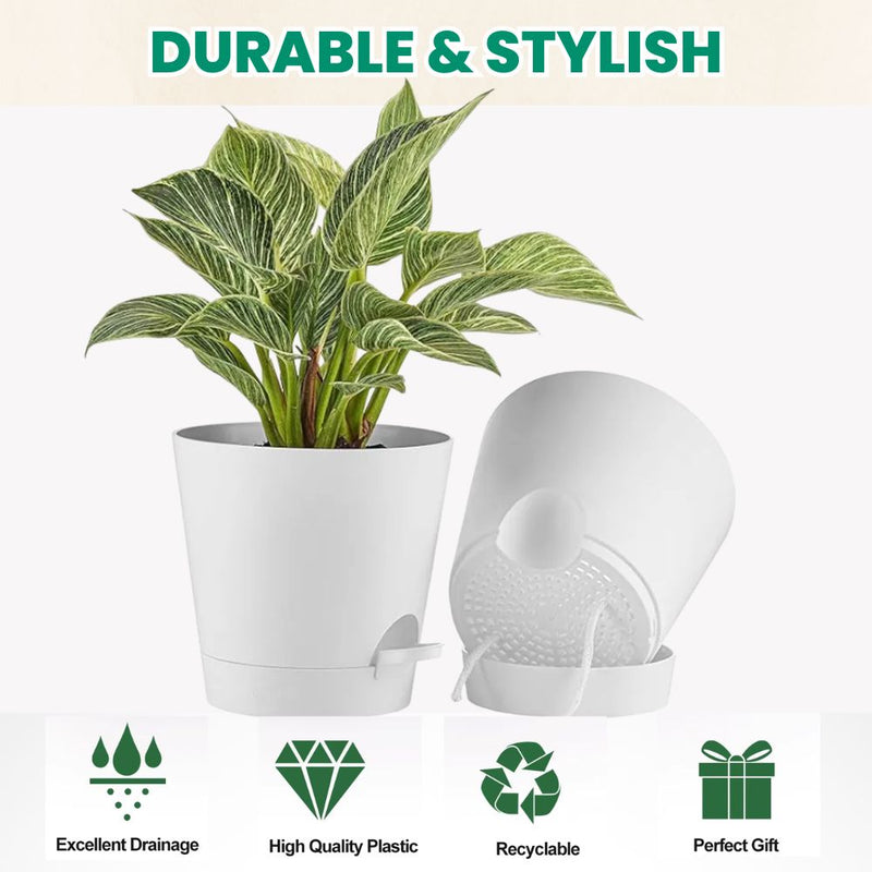 Set of 5 Self Watering Planters with Drainage Holes
