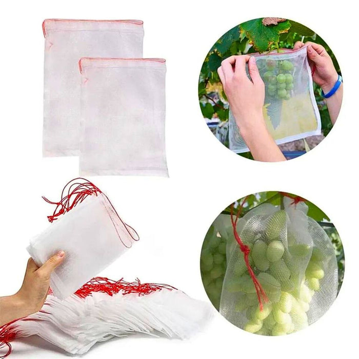 Guardian Mesh Protective Insect Covers for Fruit and Vegetable Garden
