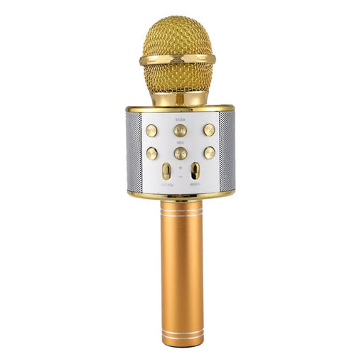 Portable Wireless Karaoke Microphone_0