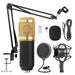 Karaoke Microphone BM-800 Studio Condenser Microphone for Broadcasting, Singing and Recording_0