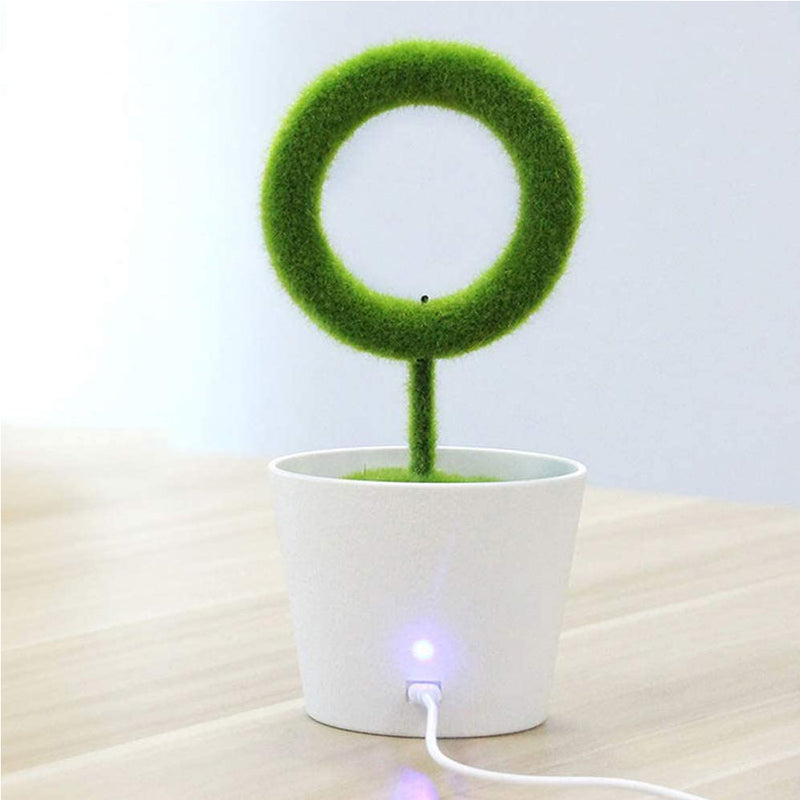 USB Powered Portable Green Plant Negative Ion Desktop Air Purifier_4