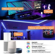Wi-Fi Enabled Voice Control Smart LED RGB Strip Light 5m/10m APP Ready_4