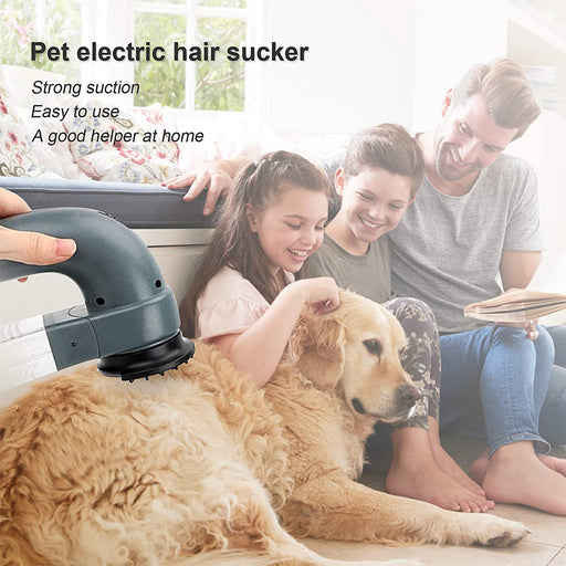 Electric Pet Hair Vacuum Hair Removing Machine_6