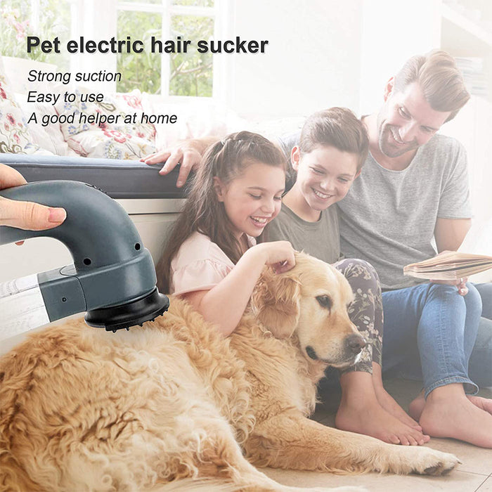 Electric Pet Hair Vacuum Hair Removing Machine_6