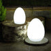 Remote Controlled Cordless Rechargeable LED Room Orb Night Light_6