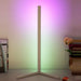 Modern and Simple RGB LED Corner Rod Standing Floor Lamp_12