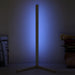 Modern and Simple RGB LED Corner Rod Standing Floor Lamp_14