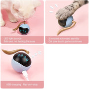 USB Rechargeable Interactive Colorful LED Self-Rotating Toy Ball_1