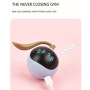 USB Rechargeable Interactive Colorful LED Self-Rotating Toy Ball_2