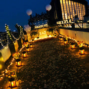 Solar Powered Decorative LED Lamp Outdoor Garden Light_1