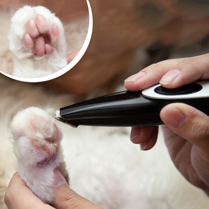Electric Pet Hair Clipper and Trimmer Pet Grooming Tool_6