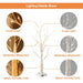 LED Illuminated Birch Tree for Home and Holiday Decoration_3