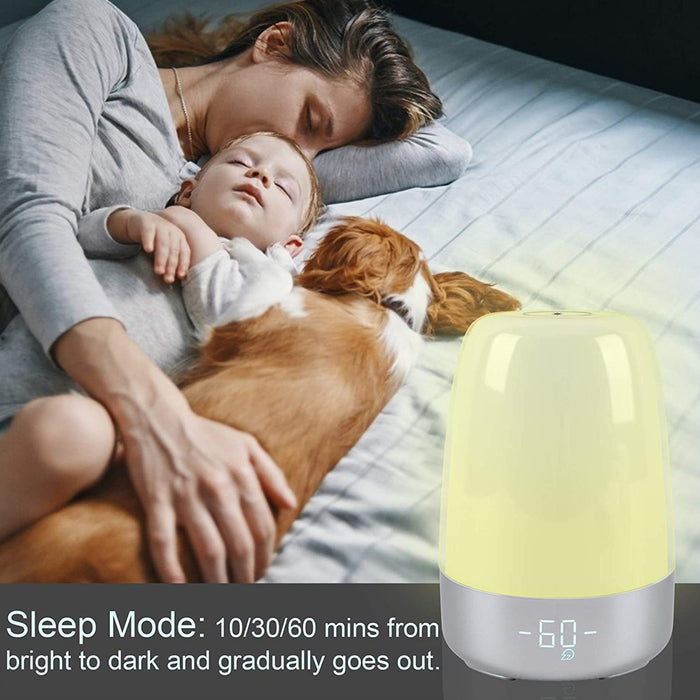 Dimmable Bedside Touch Night Light with Alarm Clock Function_1
