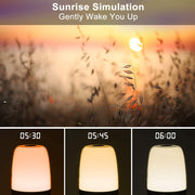 Dimmable Bedside Touch Night Light with Alarm Clock Function_2