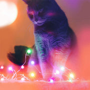USB Interface Remote and APP Controlled LED Holiday String Lights_16