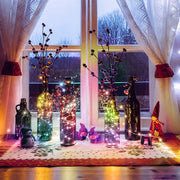 USB Interface Remote and APP Controlled LED Holiday String Lights_20