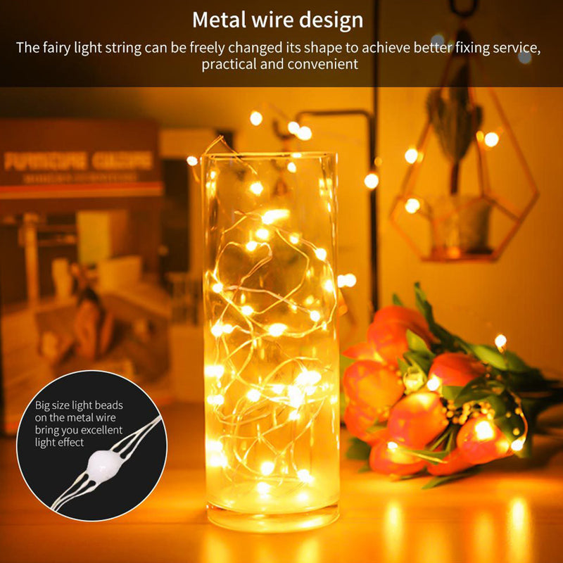 USB Interface Remote and APP Controlled LED Holiday String Lights_8