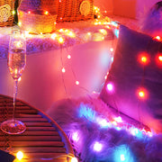 Remote Controlled Smart LED String Holiday Fairy Ball Lights_8