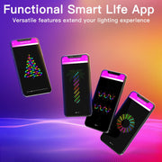 Remote Controlled Smart LED String Holiday Fairy Ball Lights_10