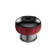 USB Interface 6 Gears Electric Guansha Scraping Cupping Massager_5