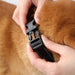 USB Charging 7 Modes Dog Training Collar Bark Stopper_1