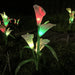 Solar Powered Calla Lily Garden Décor Flower Lights_1