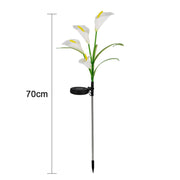 Solar Powered Calla Lily Garden Décor Flower Lights_6