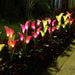 Solar Powered Calla Lily Garden Décor Flower Lights_9