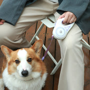 3M Retractable Durable Nylon Pet Leash with LED Lights_1
