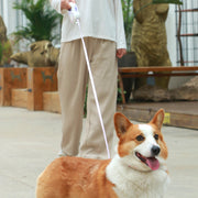 3M Retractable Durable Nylon Pet Leash with LED Lights_2