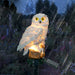 Solar Powered Waterproof Outdoor Garden Ornament Owl Light_4