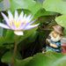 Full Colored Garden Resin Fishing Decorative Garden Gnome_6