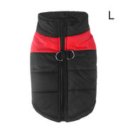 Warm Up Zip Up Padded Dog Jacket with Dual Ring Leash_2